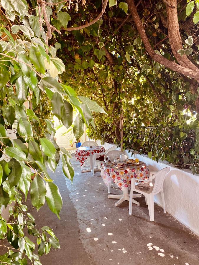 Afroditi Pension Αρχάγγελος Εξωτερικό φωτογραφία